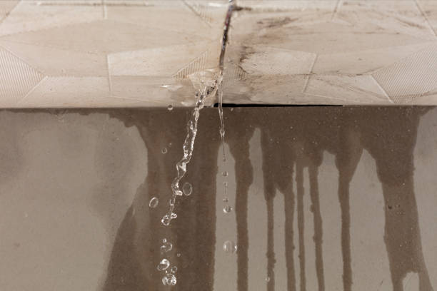 Professional Burst Pipe Cleanup technician working in New Haven, CT